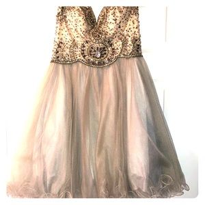 Platinum semi formal dress size 2